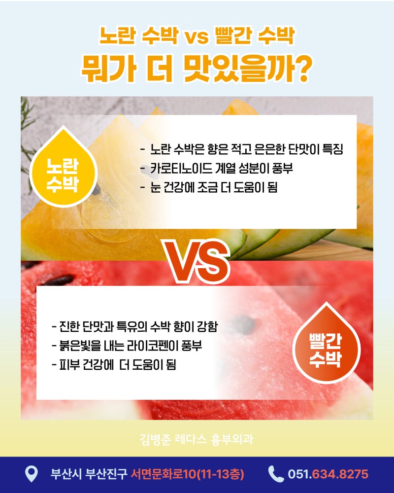 노란 수박vs 빨간 수박의 맛과 효능, 고르는 법 사진 3