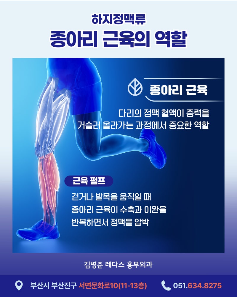 하지정맥류 있다면 꼭 알아야 할 좋은 운동, 나쁜 운동 사진 3